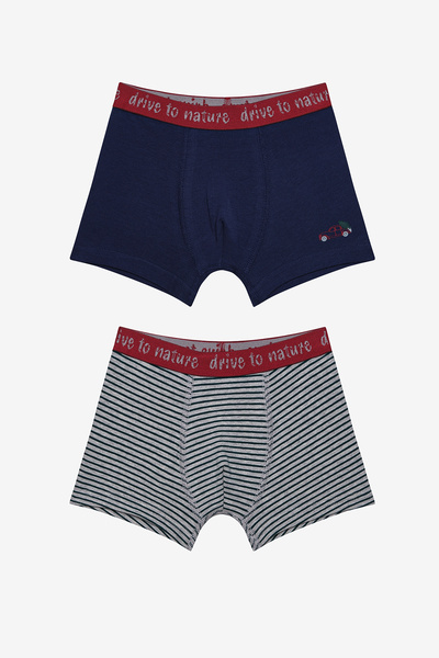 Penti Многоцветни боксерки Drive to Nature от 2 части за момче