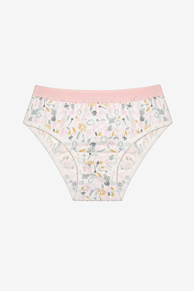 Penti Kız Çocuk Nature 5li Çok Renkli Slip Külot