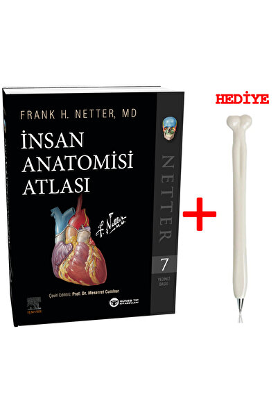 Güneş Tıp Kitabevleri Netter Insan Anatomisi Atlası 7. Baskı