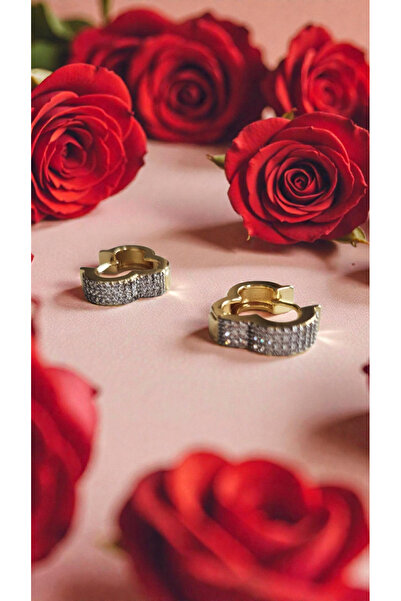 İNİTİUM Premium Paslanmaz Çelik 14K Altın Kaplama Zirkon Taşlı Yonca Model Küpe