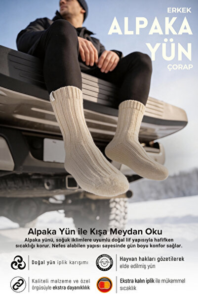 Bolero Men's Alpaca Wool Winter Socks Beige