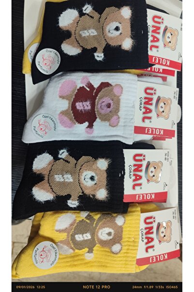 Yürğüç 6 Çift Dikişsiz Çorap Kaliteli Pamuklu Babet Toptan Fiyatına Perekende