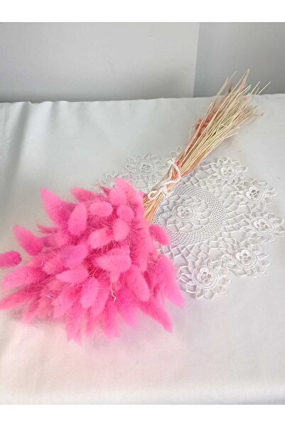 Birlik Pamuk Otu Lagurus Kuru Çiçek Pembe