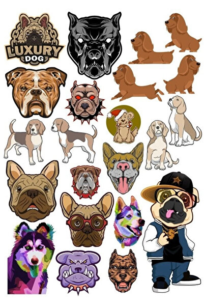 Reysa Tasarım مجموعة ملصقات للكلاب مكونة من 11 25 قطعة للهاتف والكمبيوتر اللو...