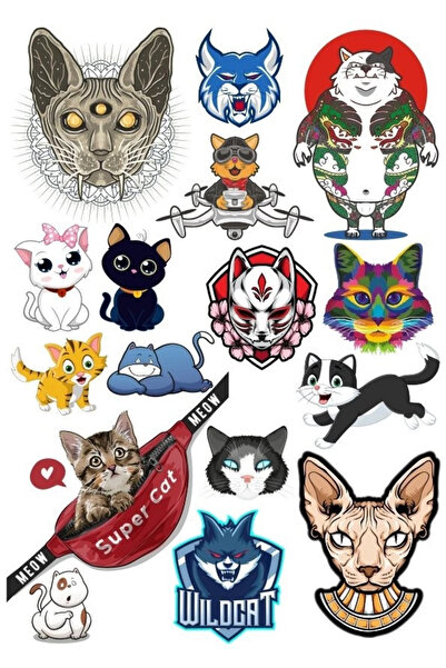 Reysa Tasarım مجموعة ملصقات القطط - 6 13 قطعة للهاتف والكمبيوتر اللوحي والكمب...