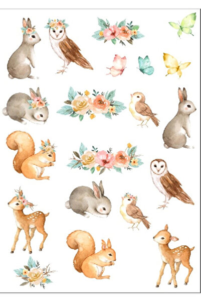 Reysa Tasarım Cute Animals - Sticker Set 3