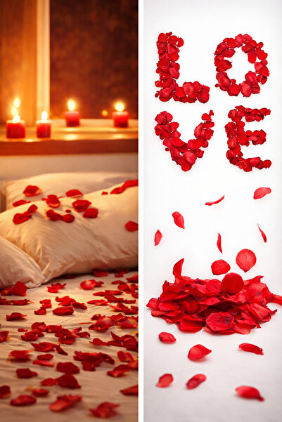 Parti dolabı 500 Pieces Red Rose Petals Marriage Proposal Rose Petals