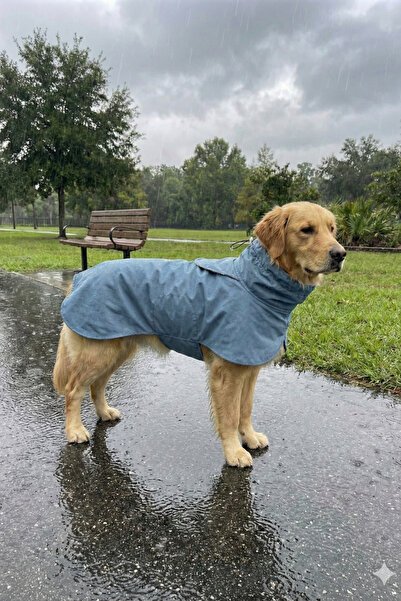 oyapet Rüzgar & Su Geçirmez Küçük ve Büyük Irk Köpekler İçin Premium Konforlu Model Köpek Yağmurluk