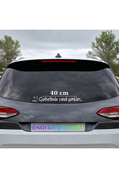 AlpiLeo Gri - Kişiye Özel Araç Arka Cam Sticker - 40x5 cm Minimalist Yazı - O...