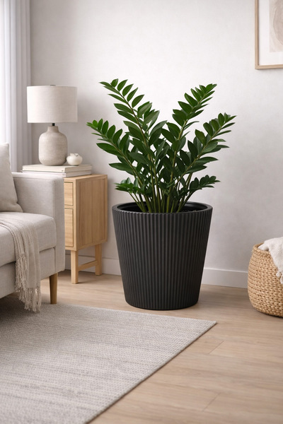 Alezy Luna Model İç Drenaj Hazneli Modern Plastik Saksı 29 lt (36.8cmx36.4cm)...