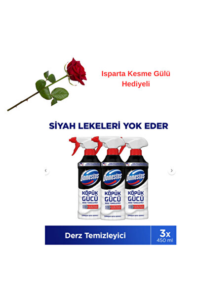 Domestos Köpük Gücü Derz Temizleyici 450 ml x3 (Gül hediyeli)