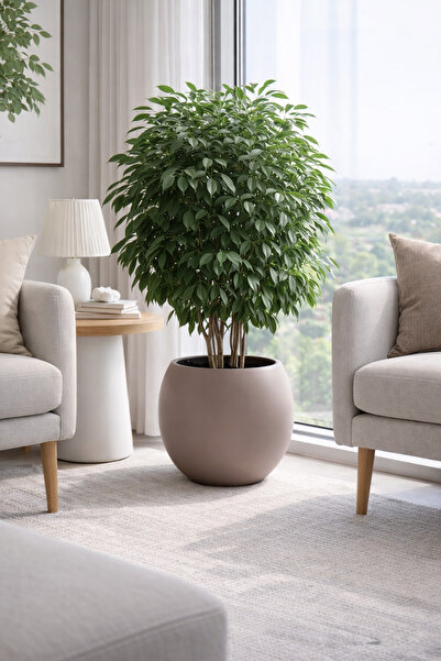 Alezy Küre Model İç Drenaj Hazneli Dekoratif Modern Saksı 27,5 lt Mocha