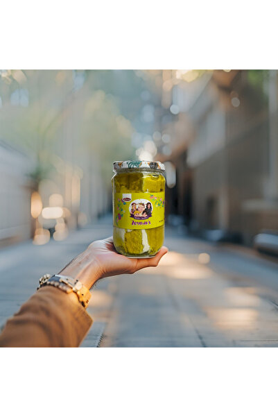 Paşalı Zeytinyağlı Tuzsuz Lor Peynir 500 gr