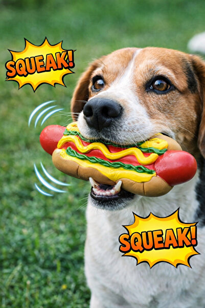 VitaBuddy Hot Dog Dog Toy with Sound
