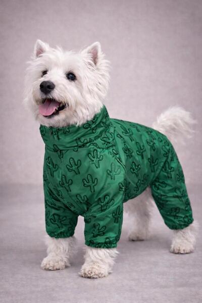 Alphadog Cactus Fleece Small Breed Dog Raincoat Jumpsuit