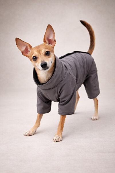 Alphadog Coverall Fume Astarlı Köpek Kıyafeti Mont Tulum Yağmurluk