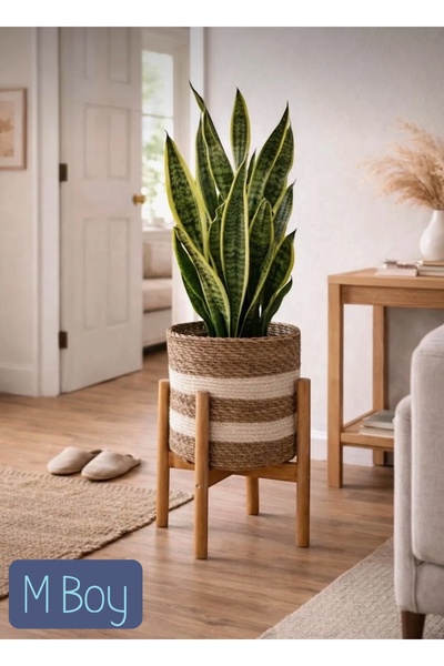 ADA Ahşap oyma ve çerçevecilik 24cm Standlı Hasır Saksı