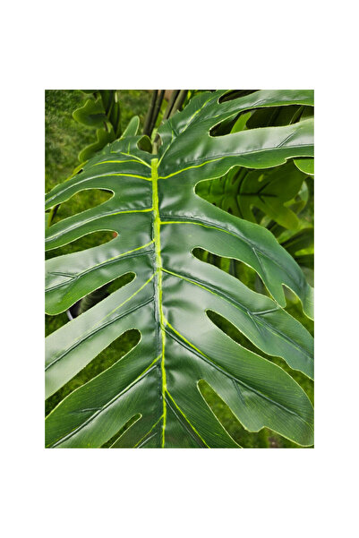 OEM Philodendron 170cm