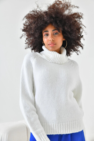 Park Karon Women's Turtleneck Ribbed Knit Knitwear Sweater 223006