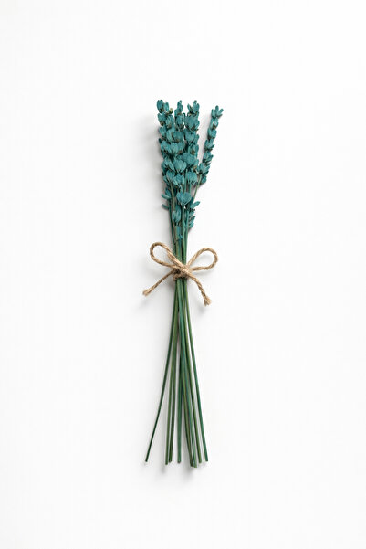 nijiartdesign Glass Tube Vase, Carefully Crafted Dried Flower Compatible with...