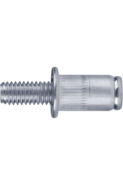 FORTUM Set de 25 nituri, M6x15mm, FORTUM, 4770676