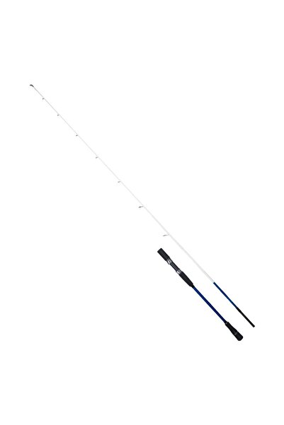 RYUJI Big Game Fuji SP 203cm 60-140gr 2 Parça Jig ve Tekne Olta Kamışı
