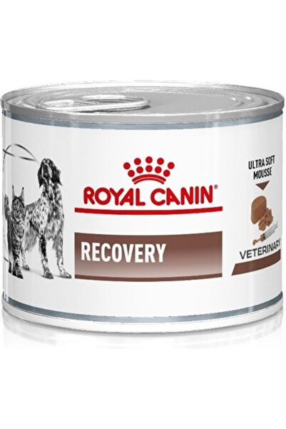 Royal Canin 195 gr Recovery Kedi Köpek Konservesi 195 gr x 6 CK551422 CMM5580427