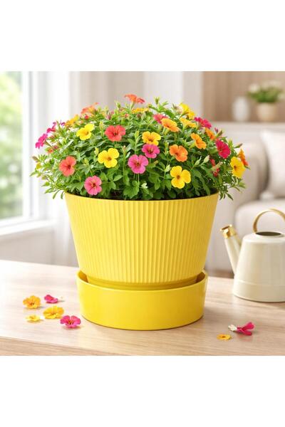 polivahome 4 Litre İxora Saksı Dekoratif Tabaklı Çiçek Kaktüs Saksısı 19*19 cm