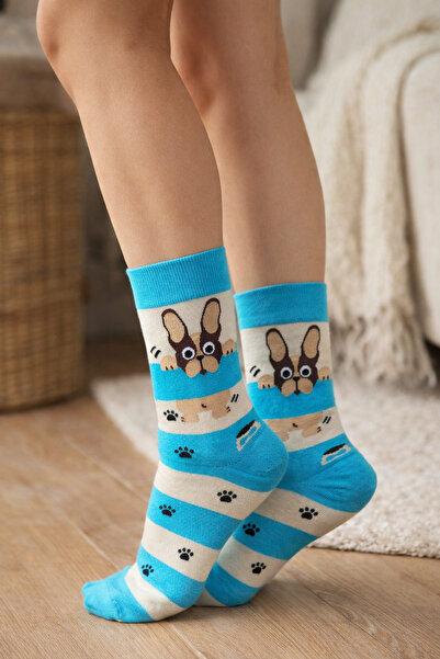 uğurlu dükkan Cream Blue Pug Dog Socks 36-44