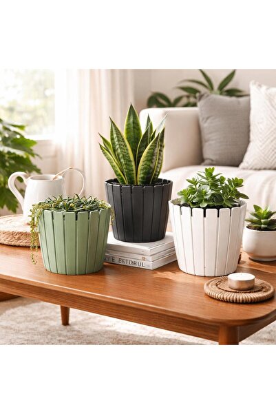 POLİVAHOME 3 Adet Akasya Saksı 2 Litre 17cm Plastik Drenaj Izgaralı Çiçek Sak...