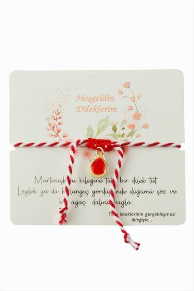 SiHako سوار مارتينيتشكا من حجر الداملا