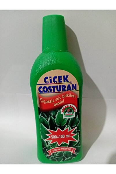 Özlem نباتات الزينة التي تنتج الزهور بدون زهور تغذي النباتات