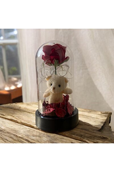 GümüşAVM Fanus İçinde Işıklı Gül ve Ayıcık Sevgililer Günü Hediyesi