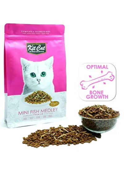 Kit Kat تشكيلة أسماك صغيرة