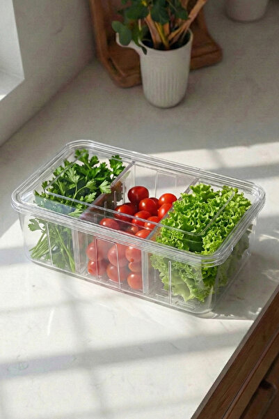 EVİONA 6 Lt Ayarlanabilir Bölmeli Buzdolabı Organizeri - BPA Free Kapaklı Sak...