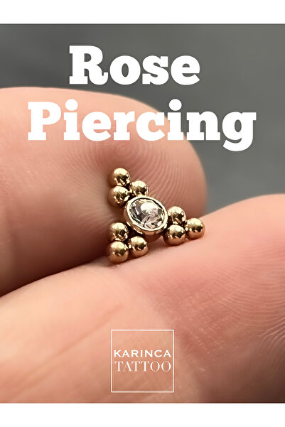 Karınca Piercing Üçgen Taşlı Rose Piercing Conch Piercing Flat Tragus Helix P...