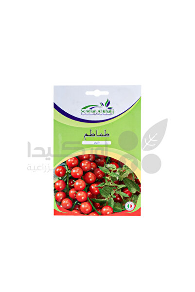Orkida بذور طماطم كرزية من هورتوسي 1 غرام