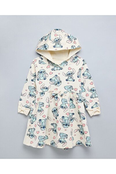 R&B Stitch Hooded Fit & Flare Dress With Long Sleeves