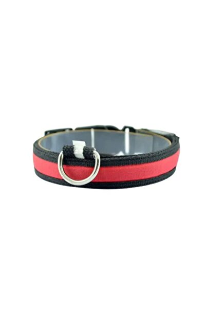 Petzz Lighted Adjustable Flashing Cat and Dog Collar Red 35-43 cm / 2.5 cm