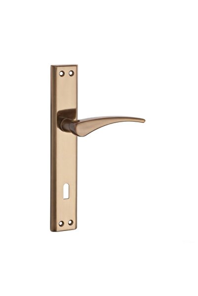 Dooraks مقبض باب أفسا بمرآة بلون مات مدخن