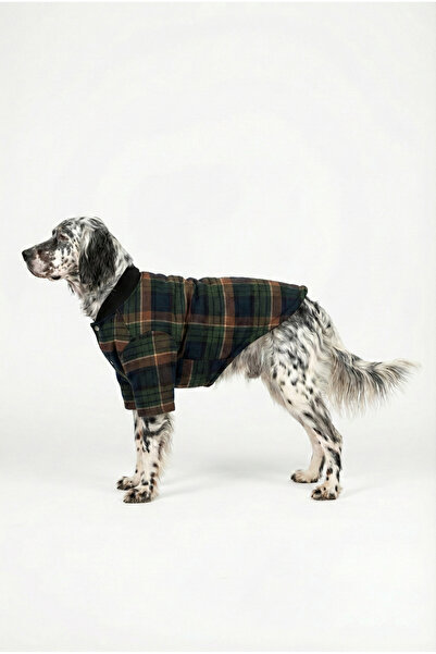 NobleDog Yeşil Ekose Oduncu Tarzı Köpek Montu - Kolej Yaka Çıtçıtlı Kışlık Ceket