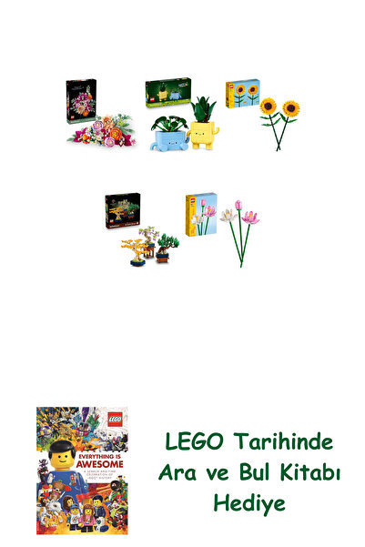 Bloomsbury مجموعة النباتات 307 (10342 + 10349 + 40524 + 10373 + 40647) + كتاب...