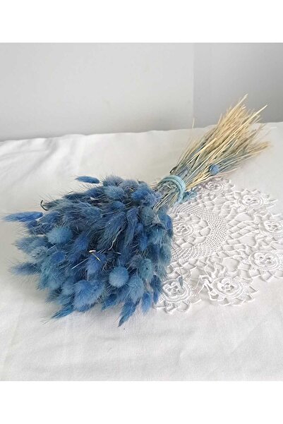 Birlik Pamuk Otu Lagurus Kuru Çiçek Mavi