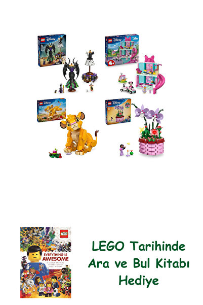 Bloomsbury Disney Set 209 (43262 + 43274 + 43243 + 43237) + Search and Find B...