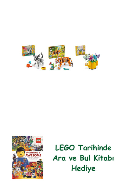 Bloomsbury مجموعة كرياتور 184 (31163 + 31129 + 31149) + كتاب البحث والبحث كهدية