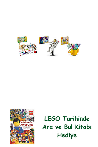 Bloomsbury مجموعة كرياتور 136 (31137 + 31152 + 31149) + كتاب البحث والبحث كهدية