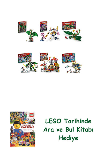 Bloomsbury مجموعة نينجاجو 447 (71847 + 71807 + 71829 + 71845 + 71818 + 71843)