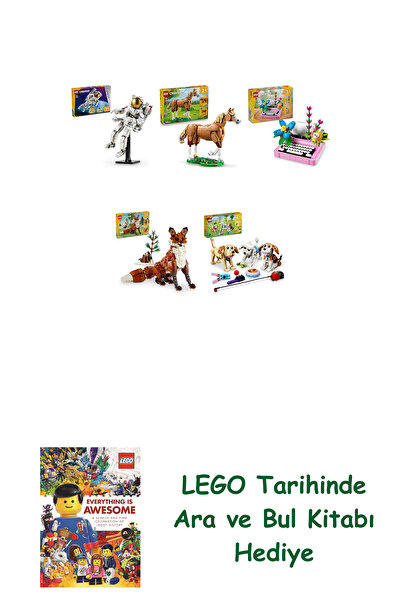 Bloomsbury Creator Set 394 (31152 + 31166 + 31169 + 31154 + 31137) + Search a...