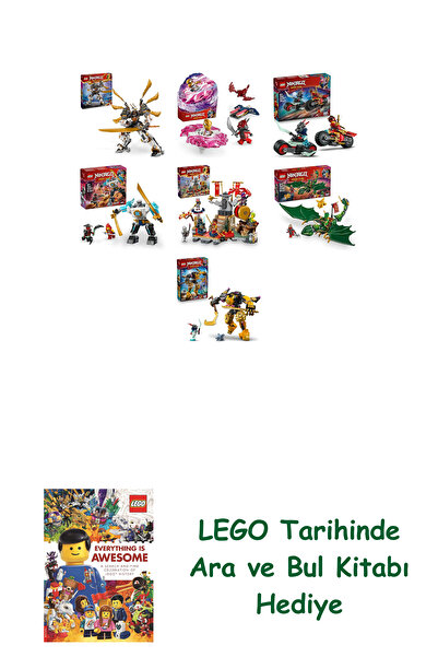 Bloomsbury مجموعة نينجاجو 595 (71821 + 71824 + 71838 + 71827 + 71818 + 71829 ...