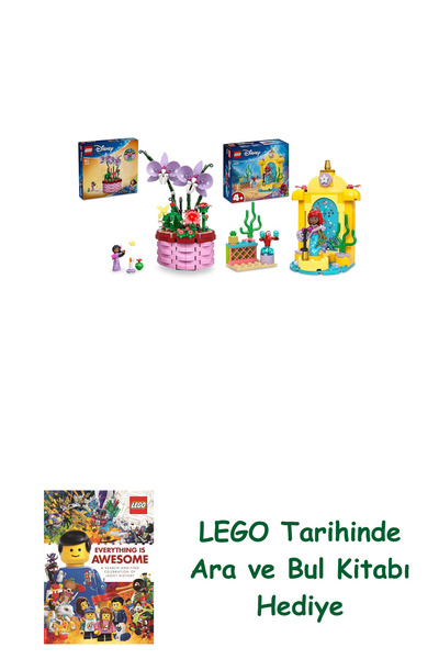 Bloomsbury مجموعة ديزني 27 (43237 + 43235) + كتاب البحث والبحث كهدية